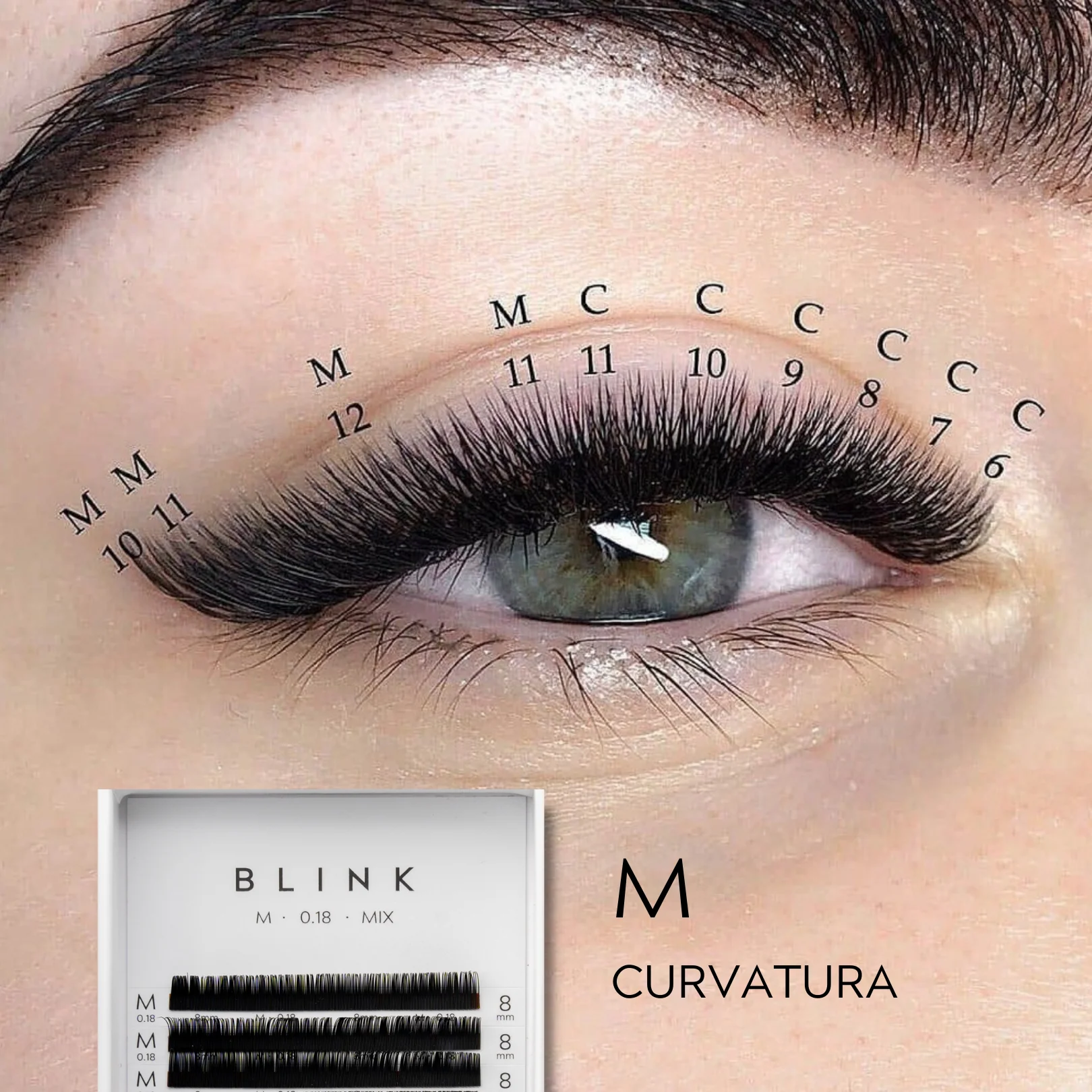 "M" CLASSIC 1D LASHES - Imagen 3